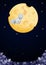 Illustration of funny mouse on cheese moon in the nigh sky
