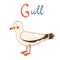 Illustration of G is for Gull