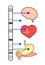 Illustration of a genome-wide association study