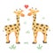 Illustration of a Giraffe Couple Facing Each Other, cartoon vector illustration on white background