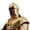 Illustration of a Golden armor