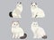 Illustration of Graceful American Curl Cat