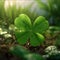 Illustration Green four-leaf clover growing out of grass. Green four-leaf clover symbol of St. Patrick\\\'