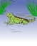 Illustration of green iguana image
