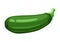 Illustration of green ripe zucchini.