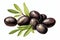 Illustration of a group of green olives with leaves on a white background as a design element for olive packaging.