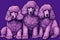 Illustration of a group of poodle dogs on a purple background