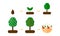 illustration. growth stages of Apple trees. red apples. B