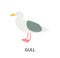 Illustration with gull. Cartoon character of bird