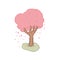 Illustration of hand drawn isolated pink sakura tree