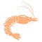 illustration hand drawn realistic shrimp, seafood for food industry, postcard