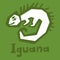 An illustration of a happy green cartoon Iguana lizard. Iguana linear icon. Thick line art. Herbivorous lizard. Contour symbol.