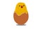 Illustration of hatched egg with a cute chick