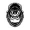 Illustration of head of angry gorilla with sunglasses in vintage monochrome style. Design element for logo, emblem, sign