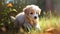 Illustration of an heartwarming dog puppy - AI Generated Content