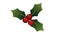 illustration of Holly leaves for Christmas icon on white background