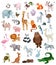 Illustration of a huge set with different animals