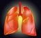 Illustration of human lungs affected with disease on background