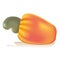 Illustration of an icon cashew fruit