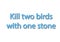 Illustration idiom write kill two birds with one stone isolated