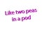 Illustration idiom write like two peas in a pod isolated in a white background