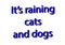 Illustration idiom write it`s raining cats and dogs isolated in