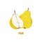 Illustration with the image of a pear and pear in a cut. Bright fruit logo or icon for your design.