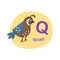 Illustration isolated alphabet letter q-quail