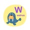 Illustration isolated alphabet letter w-walrus