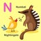 Illustration Isolated Animal Alphabet Letter N-Numbat,Nightingale