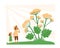 Illustration on isolated background with kids looking at dangerous hogweed