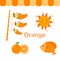 Illustration of isolated color orange group