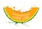 Illustration with isolated orange slice of melon.