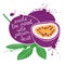 Illustration of isolated purple passion fruit silhouette.