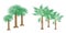 Illustration of Isometric Palm Trees on White Back