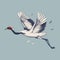 Illustration of a Japanese swan bird
