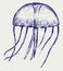 Illustration Jellyfish