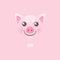 Illustration of kawaii pig, symbol of 2019 on the Chinese calendar.