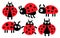 Illustration for kids, set of cute funny colorful ladybugs in various poses. Print, decor for kids bedroom