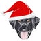 Illustration Labrador with red Christmas hat