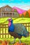 Illustration of a large turkey on a farm. Turkey as the main dish of thanksgiving for the harvest