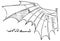 Illustration of Leonardo da Vinci wing sketch