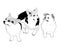 Illustration. Line art, Outline, Dog, Pembroke Welsh Corgi (Canis lupus familiaris) and Pekingese