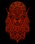 illustration lion head wit mandala