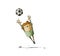 Illustration of a little boy who is jumping to grab a soccer ball.