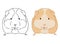 Illustration of little cute guinea pig on white background. Hand drawn vector art of small cavy good for coloring for children.