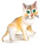 Illustration of little red frightened kitten on white background, vector cartoon image.