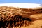 Illustration. Lonely sand dunes in a strong wind under the sky against the background of arid desert