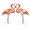 Illustration of love pink flamingos