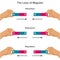 Illustration of magnetic attraction and repulsion force law